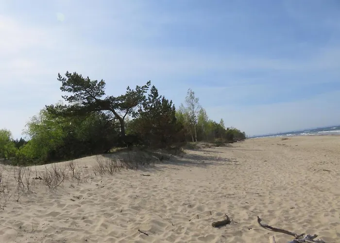 Bed and breakfast Fala Na Wyspie 3*